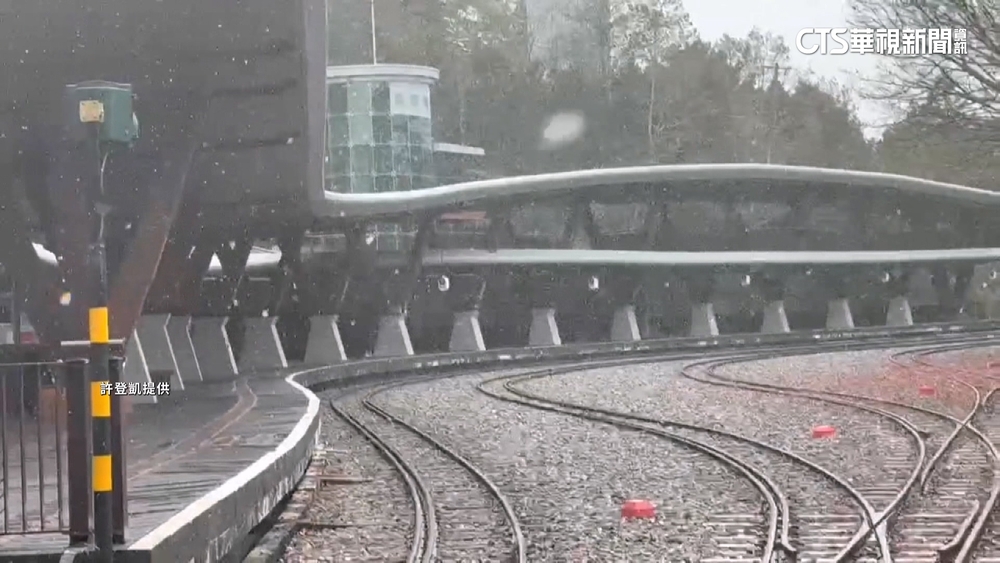 時隔8年！　阿里山清晨飄雪　民眾熱血上山追雪