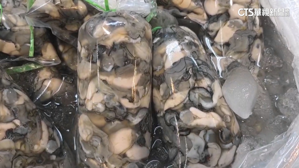 越南蚵冒充東石蚵被起訴　台中水產行喊冤：盤商摻雜