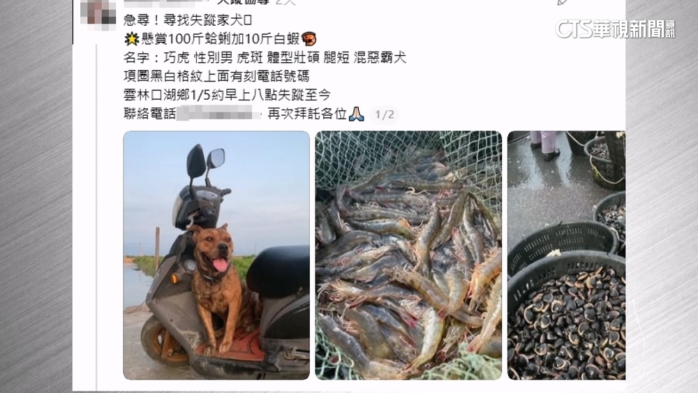愛犬走失！　飼主懸賞100斤蛤蜊+10斤白蝦尋愛狗