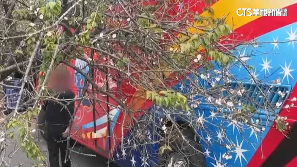 遊覽車司機作勢「折枝開路」　違闖梅園進退兩難