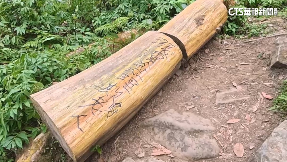 疑不滿敬老票漲10元　溪頭樹木被塗鴉釘字牌