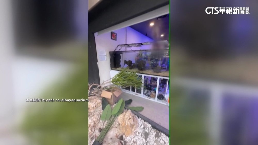 驚險瞬間！貨車暴衝撞進門　水族館店家財損30萬