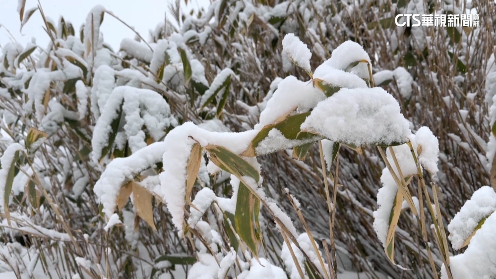 解鎖雪國新玩法！　深度體驗冬季日本北海道