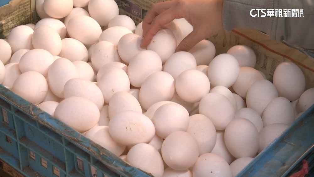 蛋價再漲！　天冷+禽流感減產需求增　每台斤漲2元