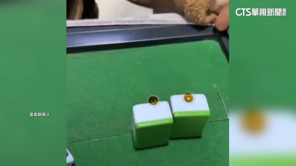 賭神真實版！　女老千戴「特殊隱眼」遭逮哭喊：我輸錢