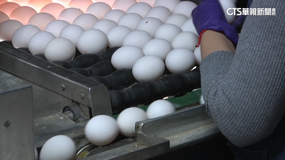 連3漲！蛋價再貴3元　蛋商公會：快過年民眾備貨