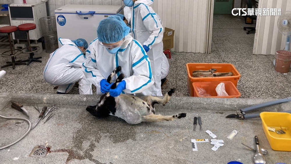 全國首例！宜蘭空拍機投毒案　農場主遭檢起訴求重刑