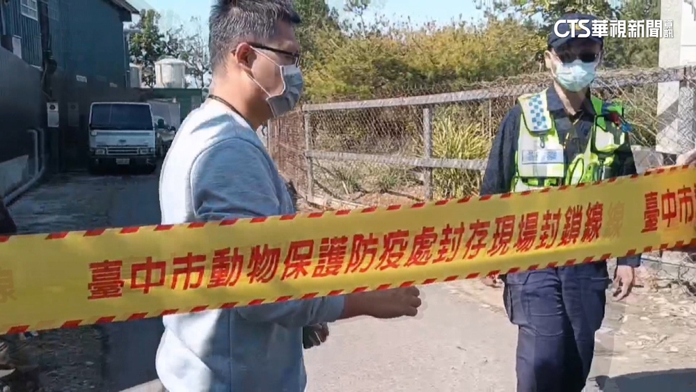 爆禽流感！豐原蛋雞場「私埋」遭檢舉　最重罰百萬「零補償」