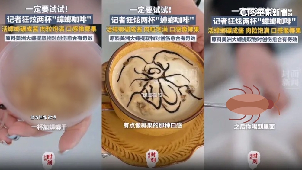 中國養殖場推2款蟑螂咖啡　記者：大蠊口感像椰果.餅乾