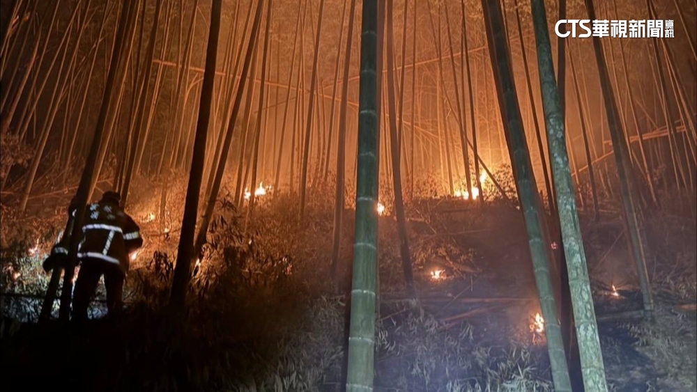 撲滅8天又復燃！草嶺森林晚間大火　恐威脅「九芎神木」