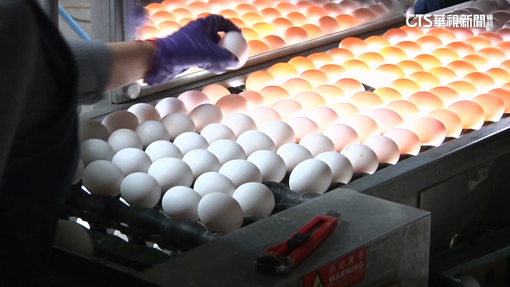 禽流感推升蛋價　蛋商公會：若疫情未擴散「不再漲」