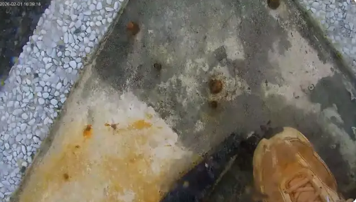 「鏡頭君」遭惡搞！　東管處PO出「嫌疑人特徵」：別挑戰底線