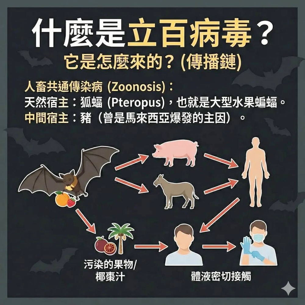 出國旅遊請當心！　立百病毒感染症將列第五類法定傳染病