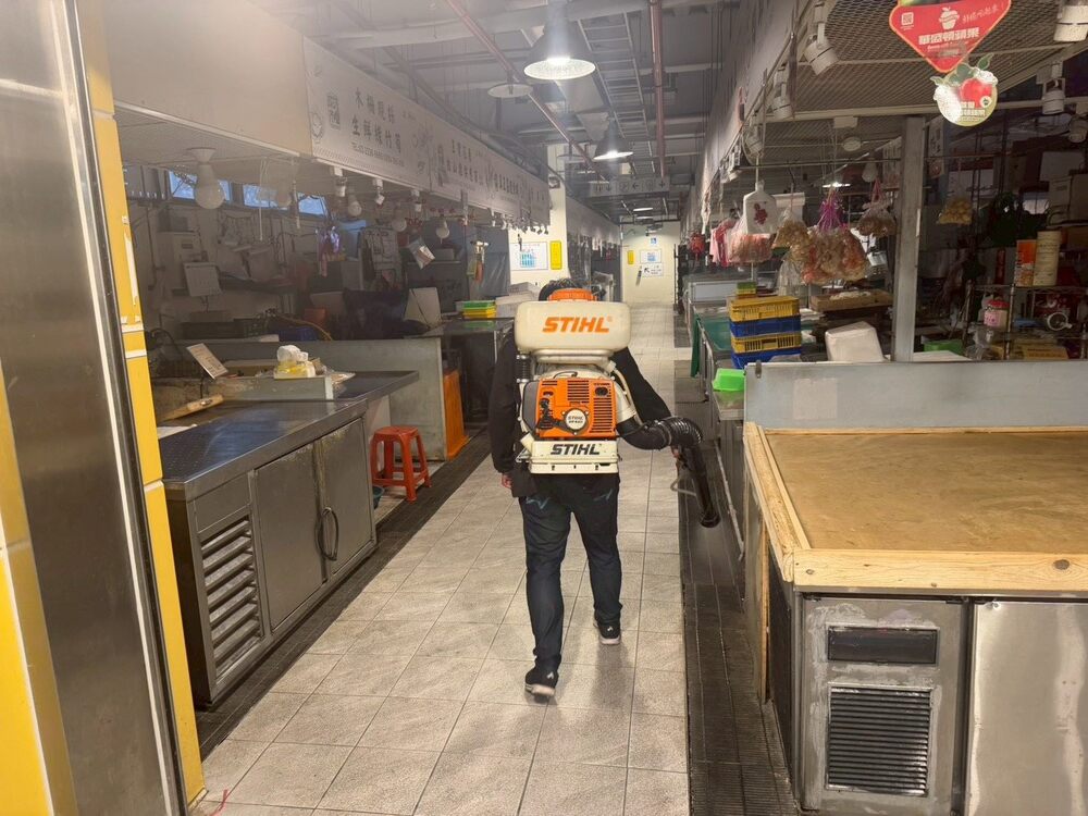 防範漢他病毒擴散！　北市47市場已加強鼠害防治、環境清消