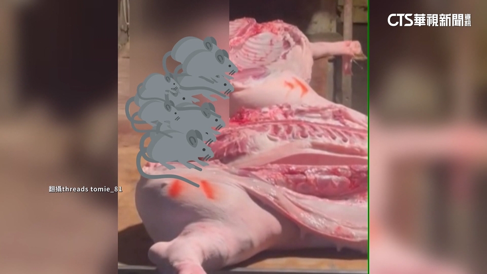 豬肉攤有老鼠分食！　業者：肉販送來不知情　將加強注意